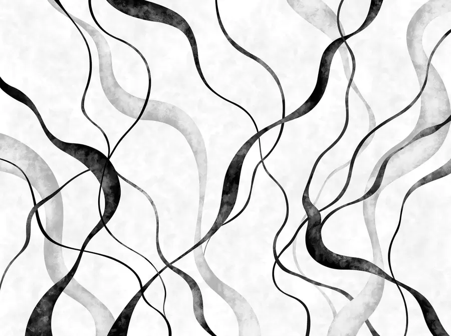 Papier peint photo Lignes fluides et abstraites dans des tons monochromes w05699