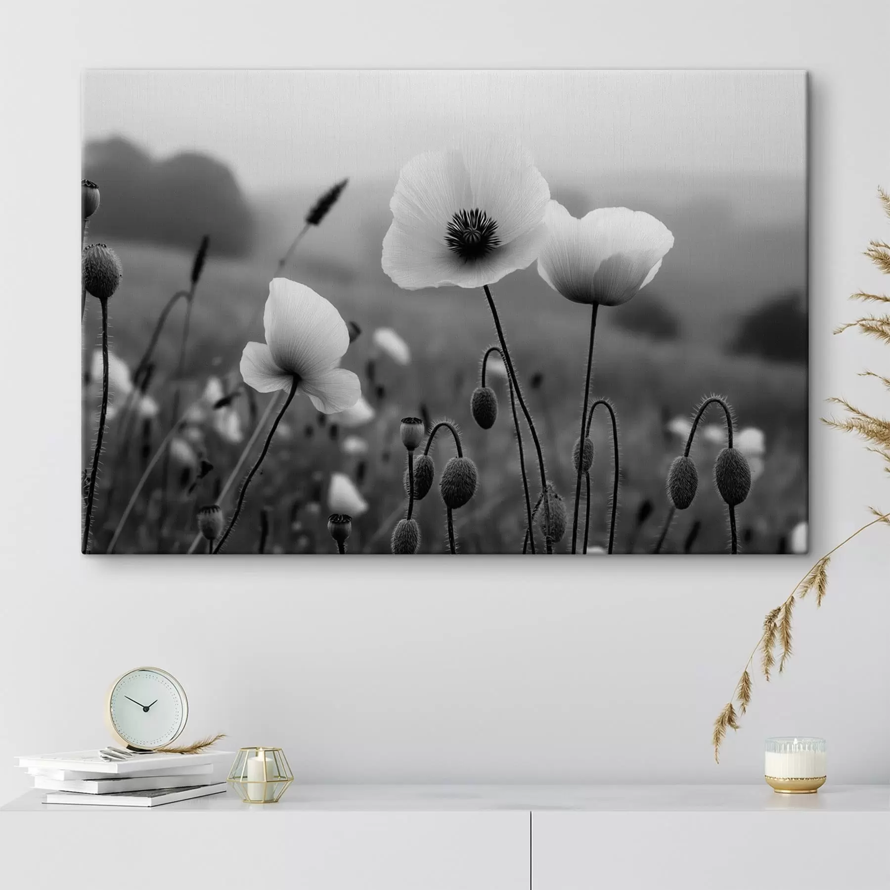  Peintures Des coquelicots noirs et blancs sur un fond flou s49692