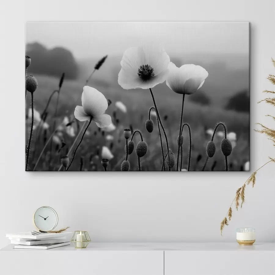  Peintures Des coquelicots noirs et blancs sur un fond flou s49692