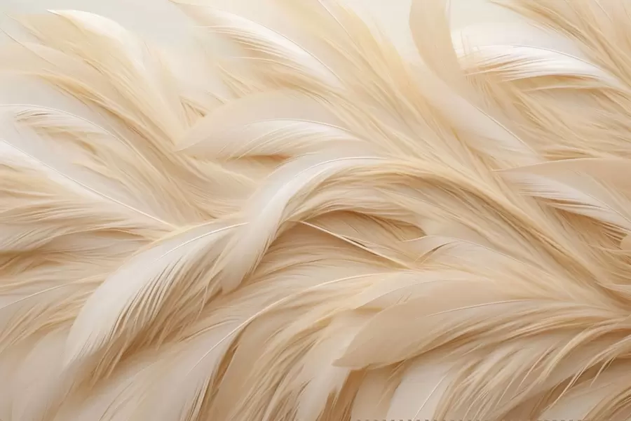 Papier peint photo Plumes délicates w05718