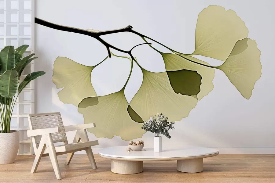 Papier peint photo Feuilles en éventail du ginkgo w09968