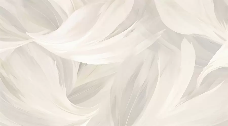 Papier peint photo Plumes w05768