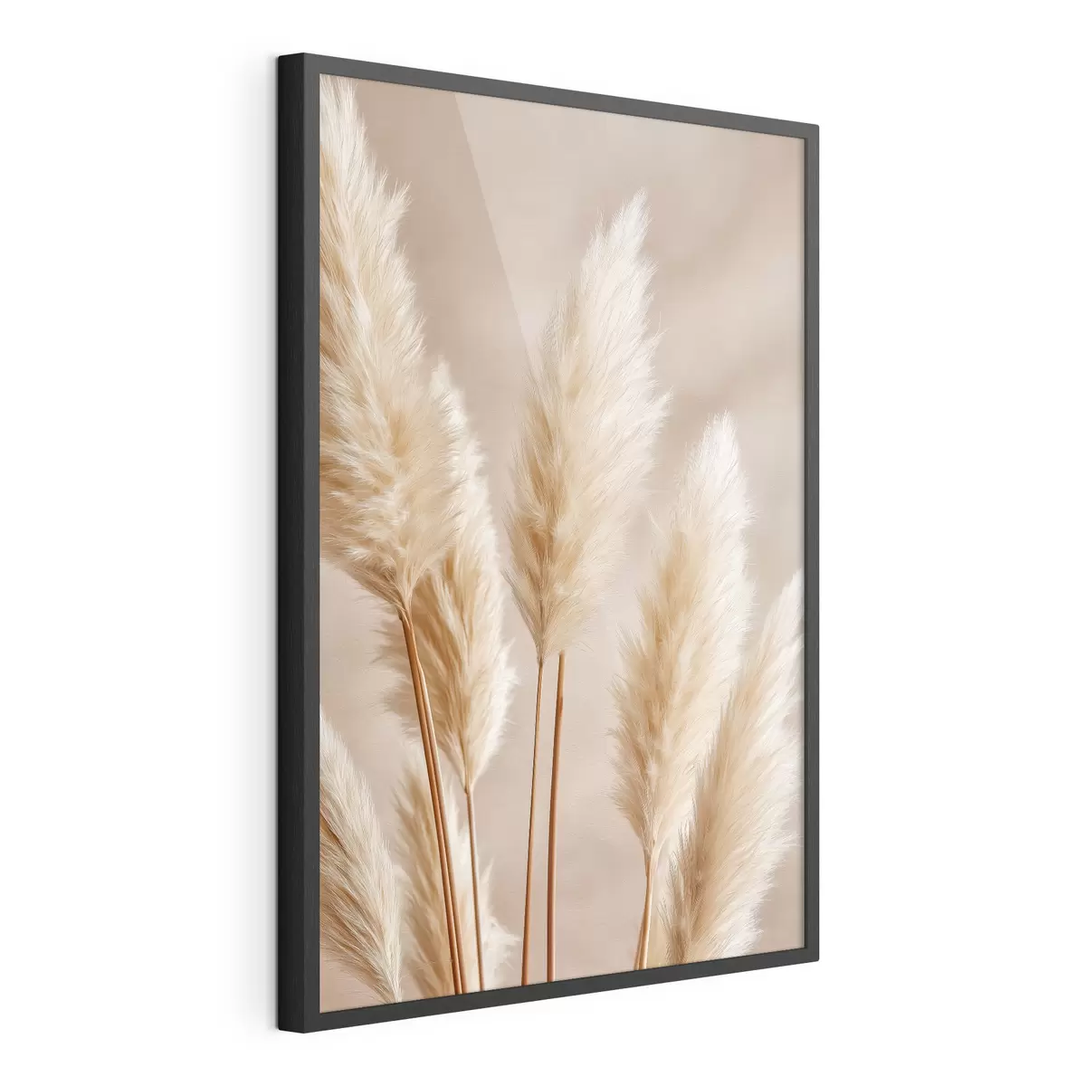 Affiche Épis de maïs et herbe de la pampa f49920