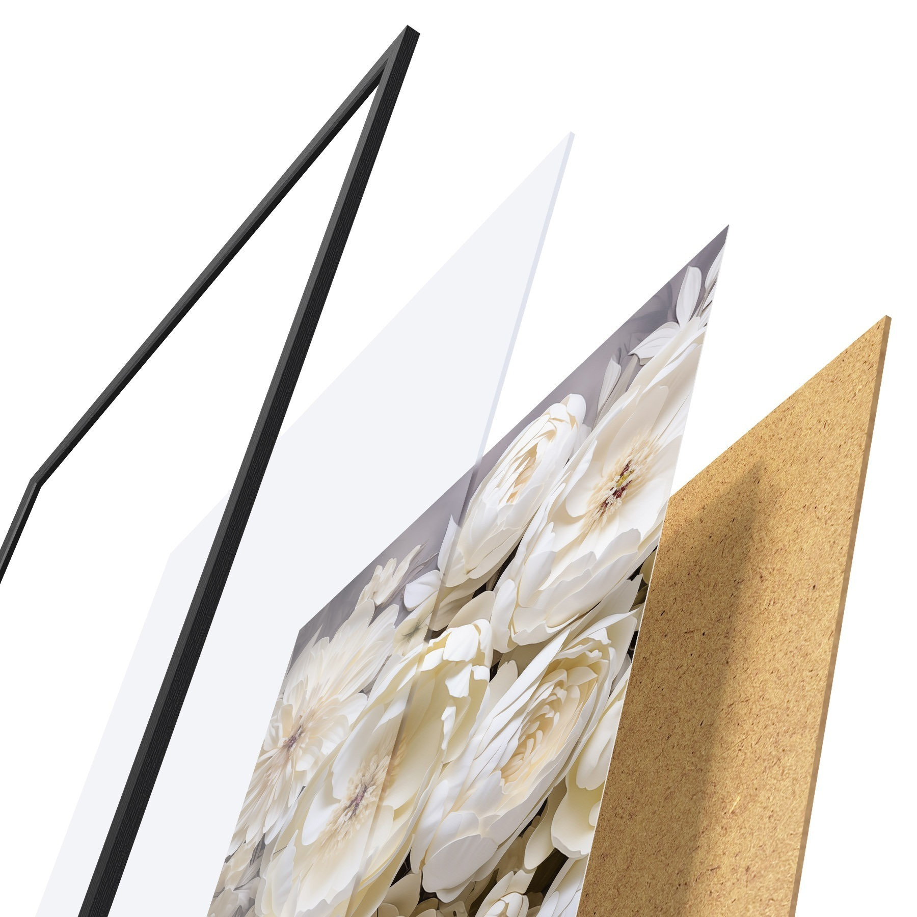 Affiche Pivoines blanches f50034