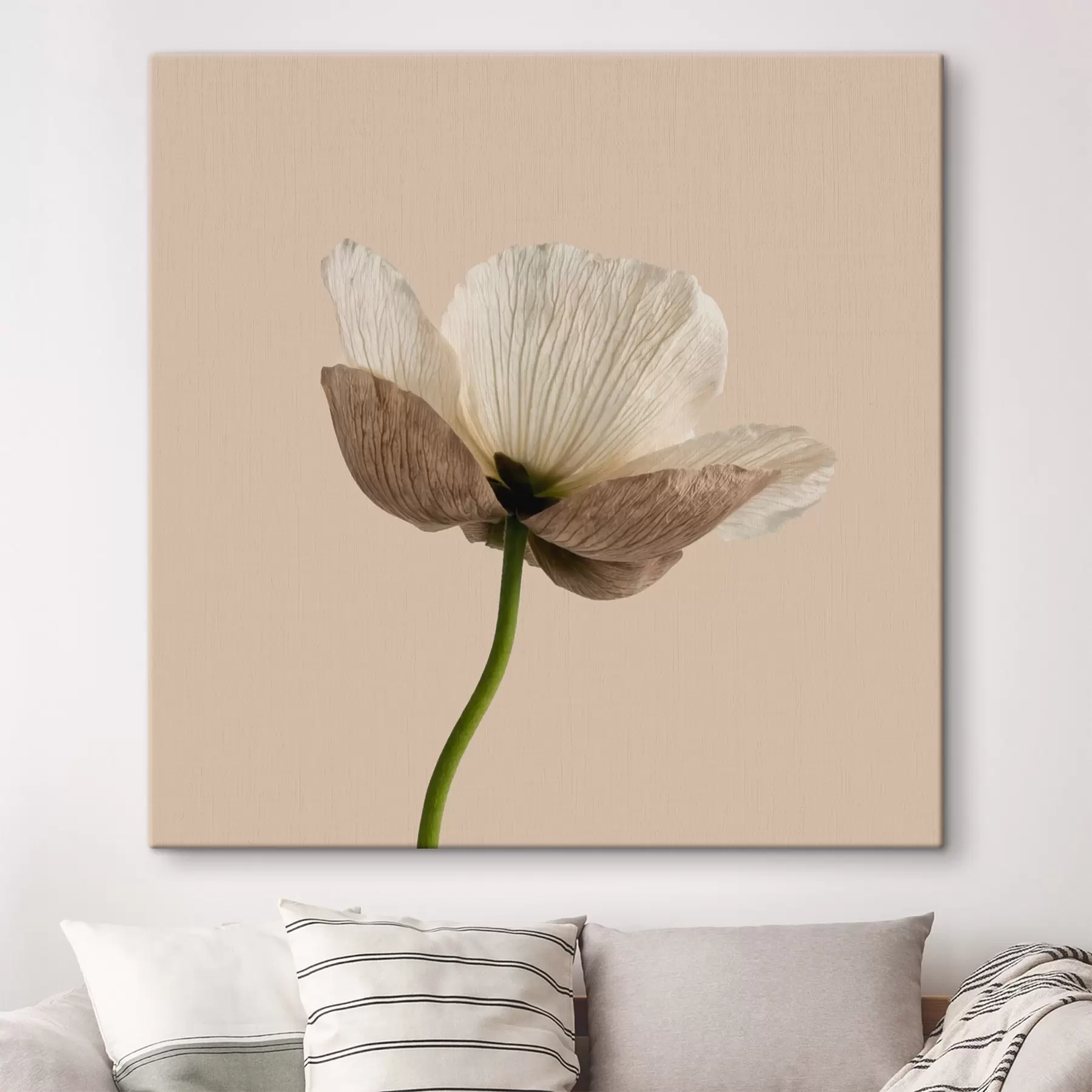  Peintures Fleur délicate aux pétales translucides sur fond beige, dans un style minimaliste s49718