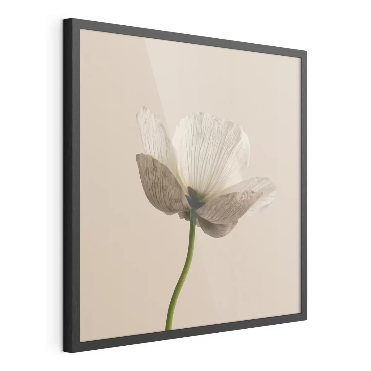 Affiche Fleur délicate aux pétales translucides sur fond beige, dans un style minimaliste f49718