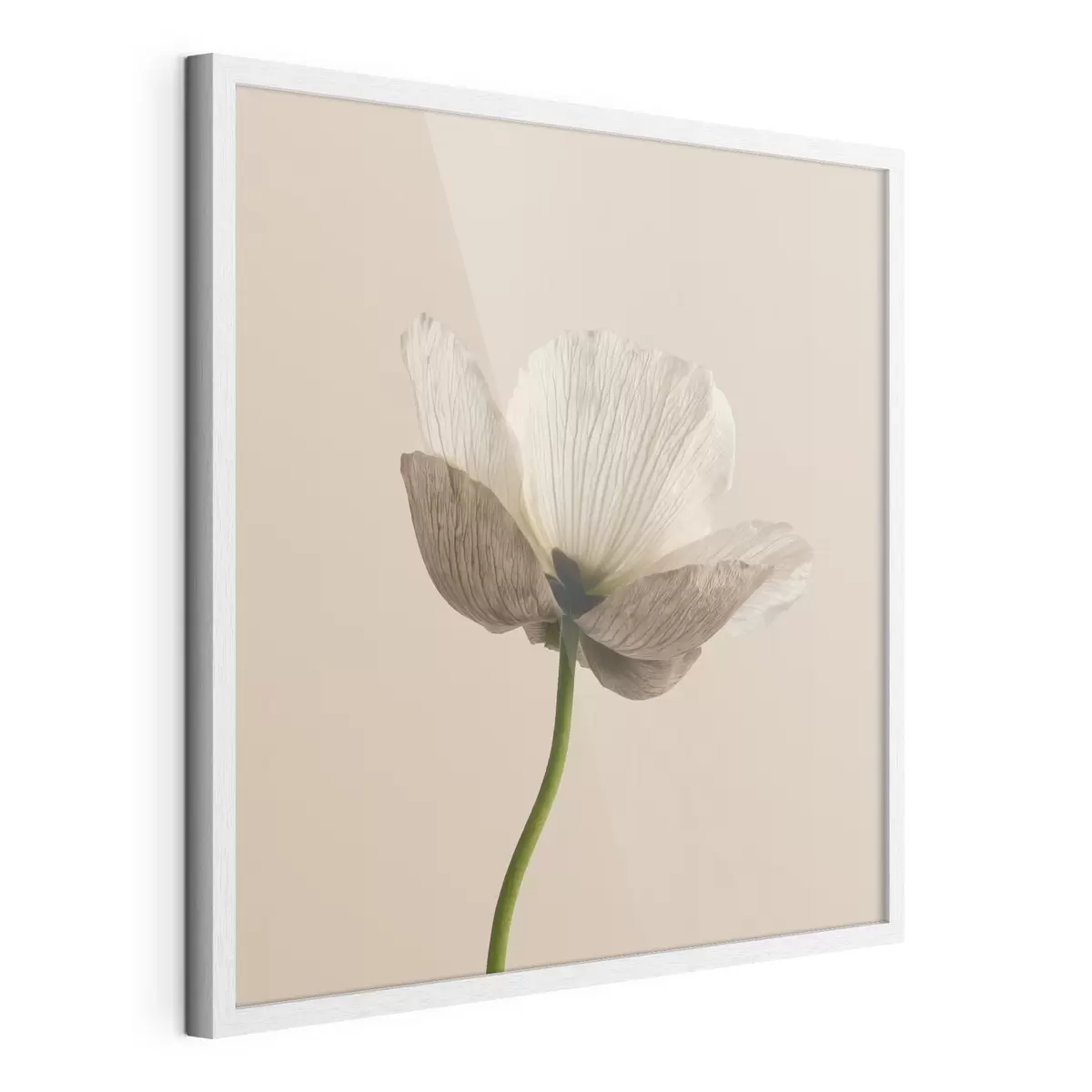 Affiche Fleur délicate aux pétales translucides sur fond beige, dans un style minimaliste f49718