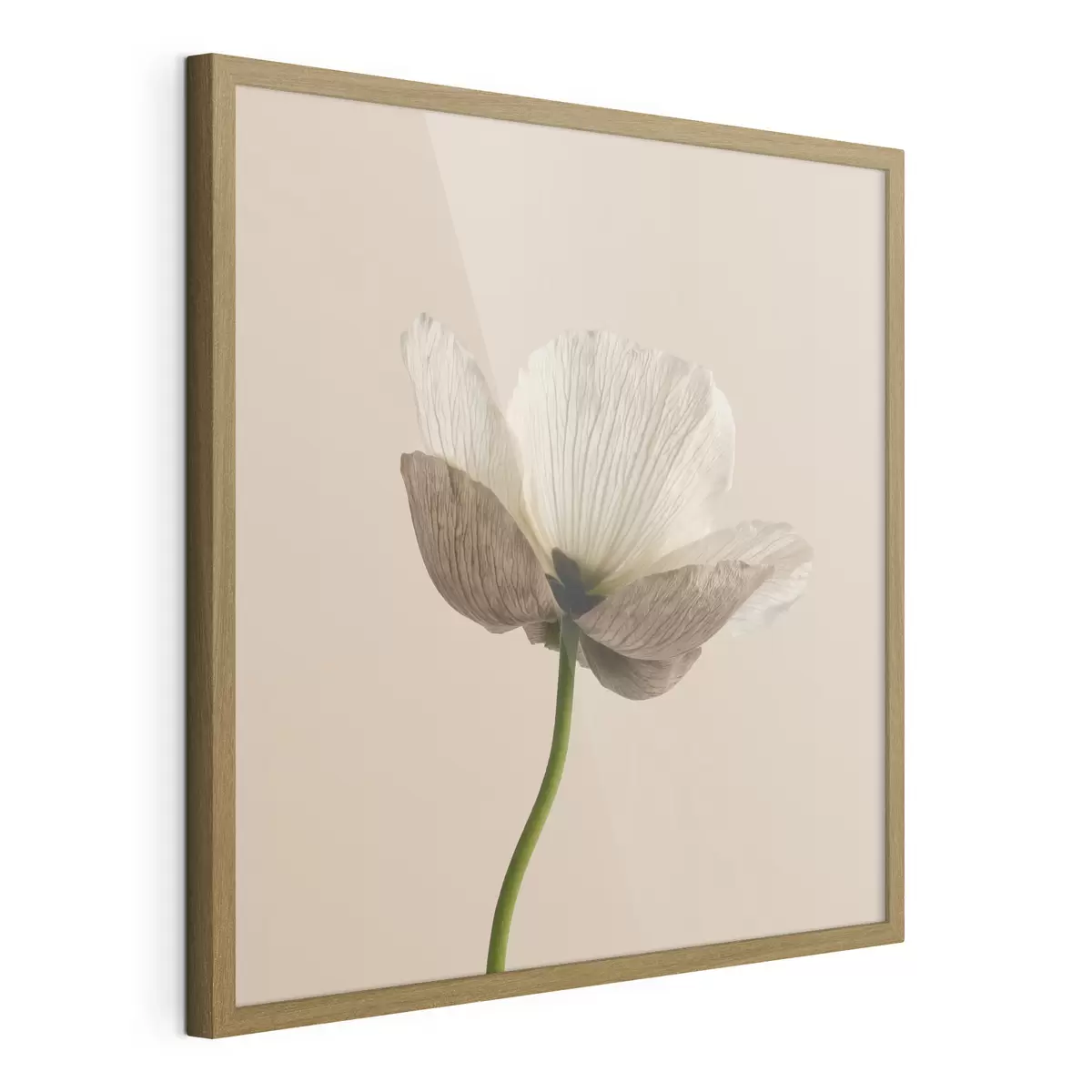Affiche Fleur délicate aux pétales translucides sur fond beige, dans un style minimaliste f49718