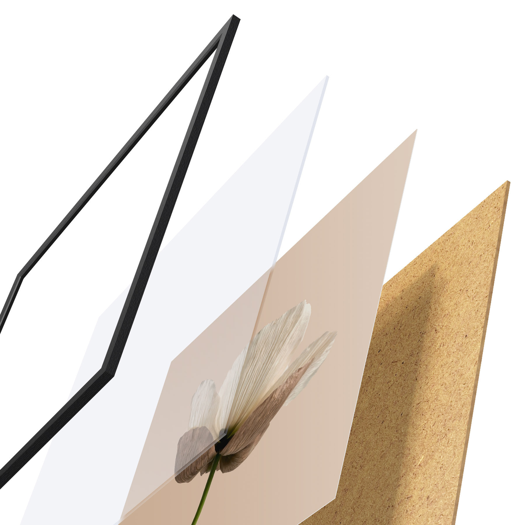 Affiche Fleur délicate aux pétales translucides sur fond beige, dans un style minimaliste f49718