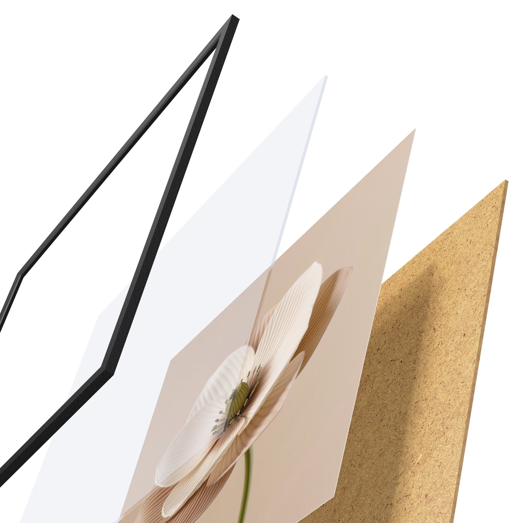 Affiche Fleur aux pétales texturés, dans une palette de tons beiges, de style minimaliste f49719