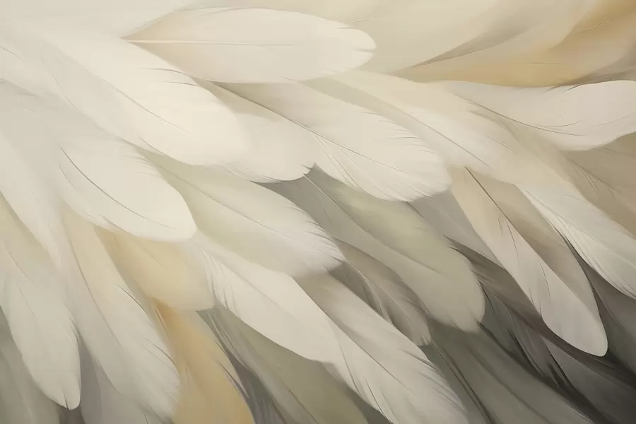 Papier peint photo Plumes w05791