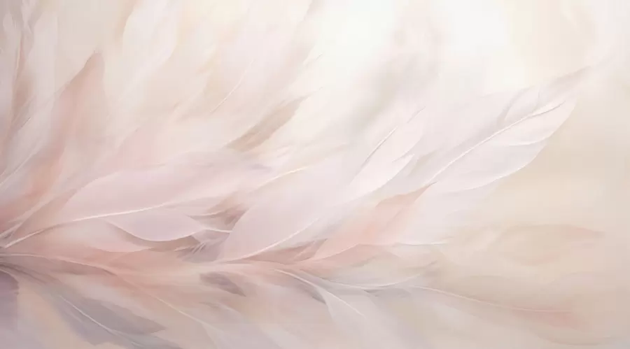Papier peint photo Plumes w05770