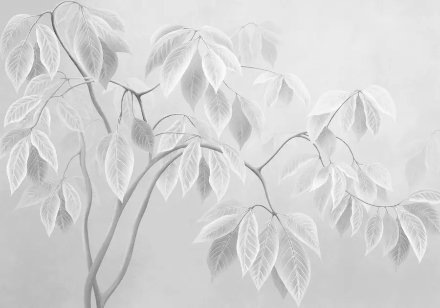 Papier peint photo Des branches claires aux grandes feuilles sur un fond clair w05806