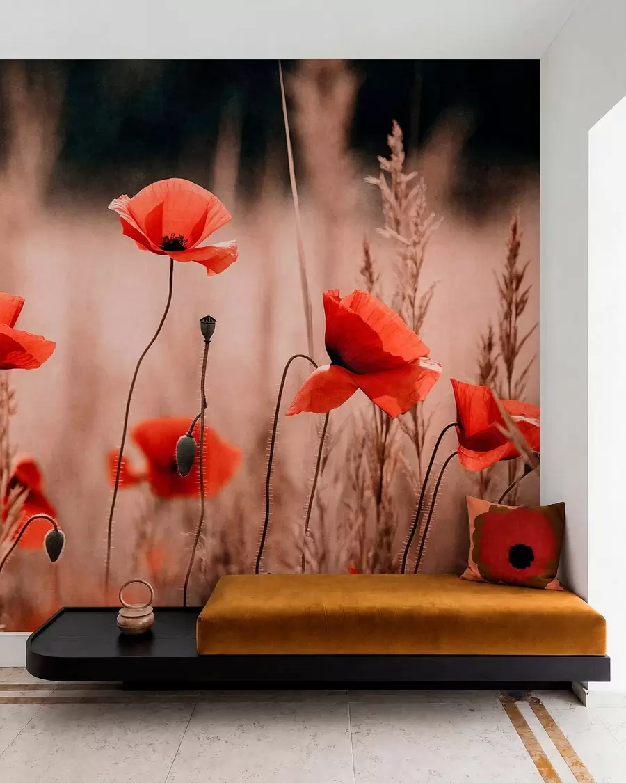 Fotobehang Felrode klaprozen tussen het droge gras w05866