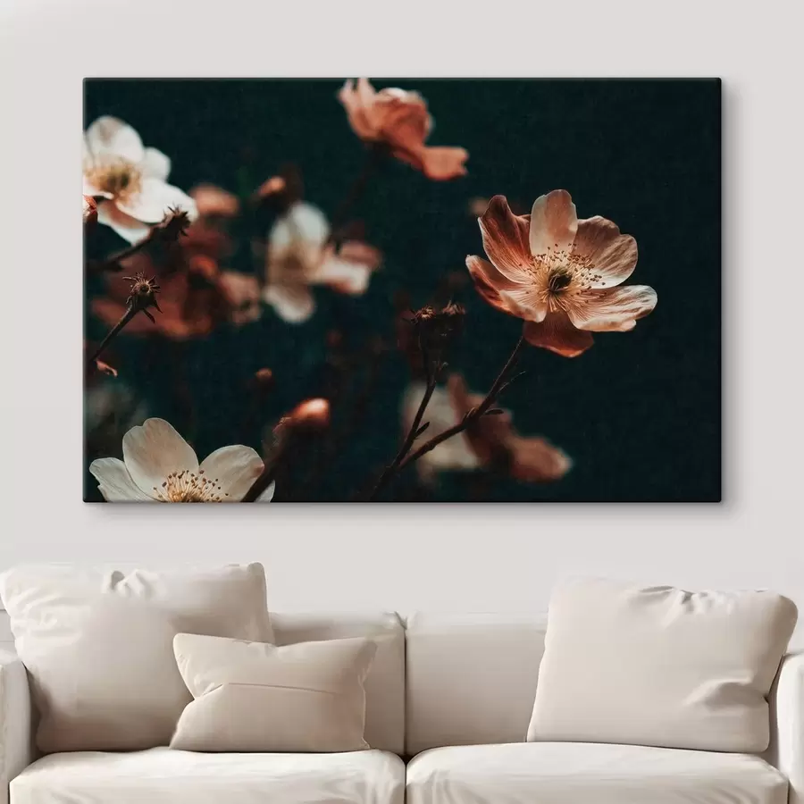  Peintures Des fleurs aux teintes chaudes sur un fond sombre s50578