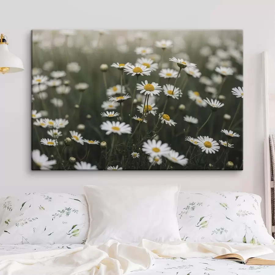  Peintures Champ de marguerites blanches au cœur jaune s50588