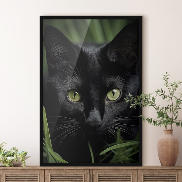 Affiche Le regard du chat noir sous les tropiques, Posters insectes et animaux, f50761bk : Uwalls