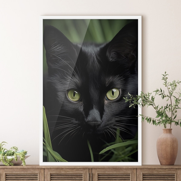 Affiche Le regard du chat noir sous les tropiques, Posters insectes et animaux, f50761wh : Uwalls