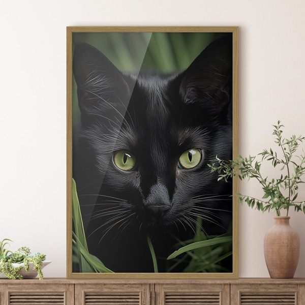 Affiche Le regard du chat noir sous les tropiques, Posters insectes et animaux, f50761wo : Uwalls