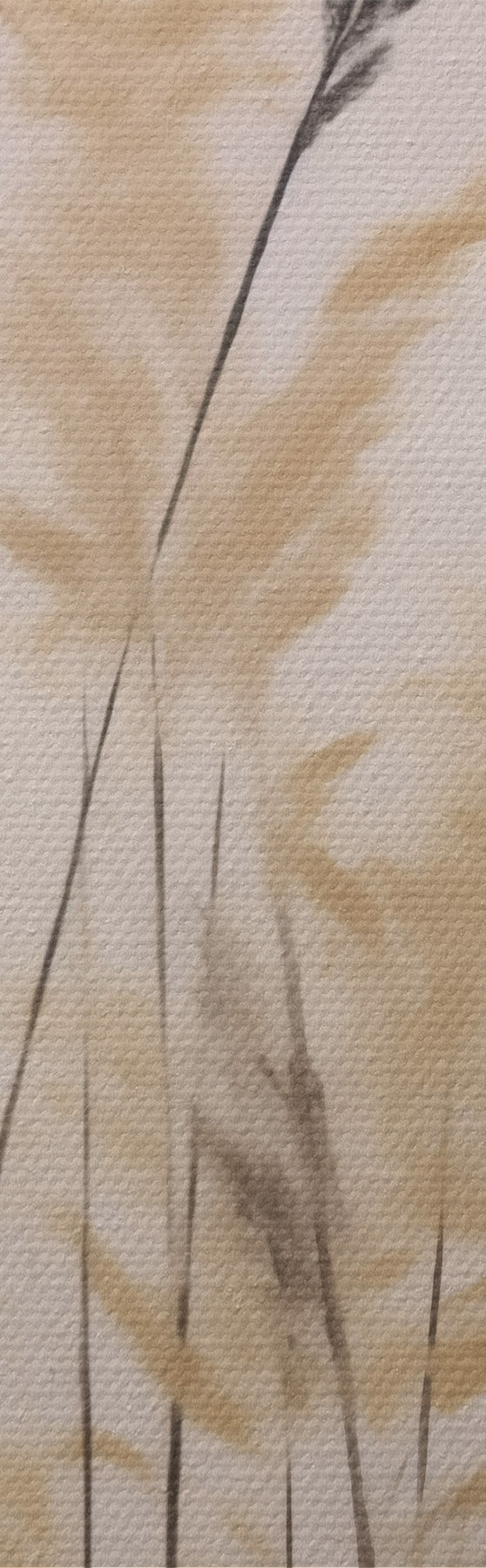  Peintures Herbes stylisées sur fond de lune, imitation d'un tableau s50985