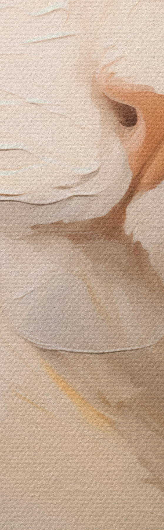  Peintures Chat, peinture d'imitation m31063