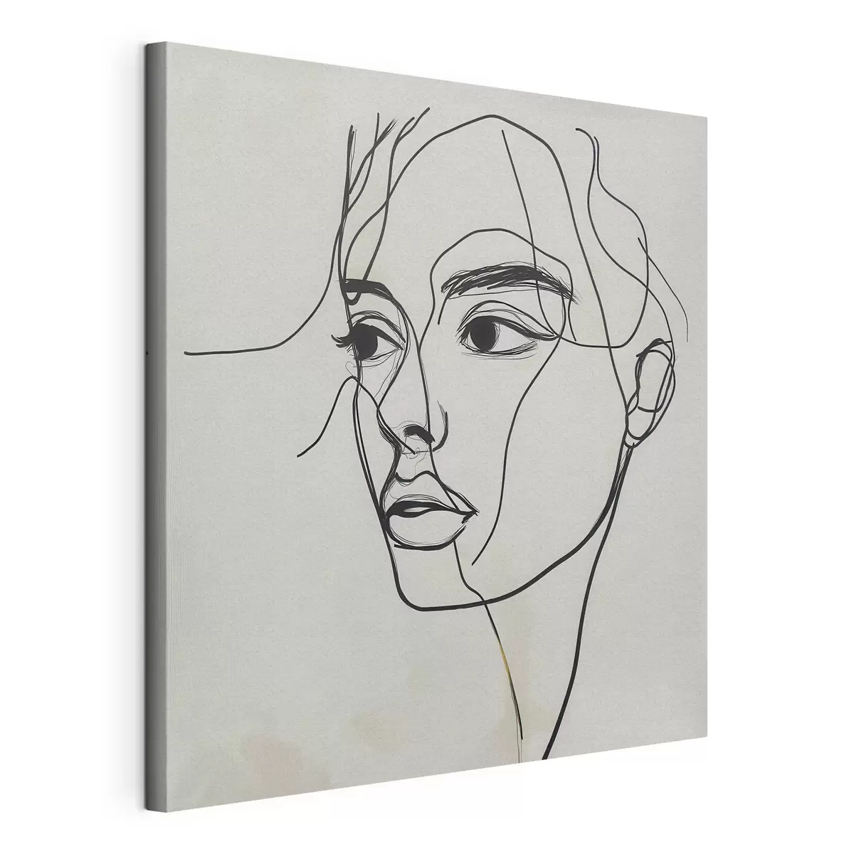  Peintures Portrait linéaire d'un visage s51002
