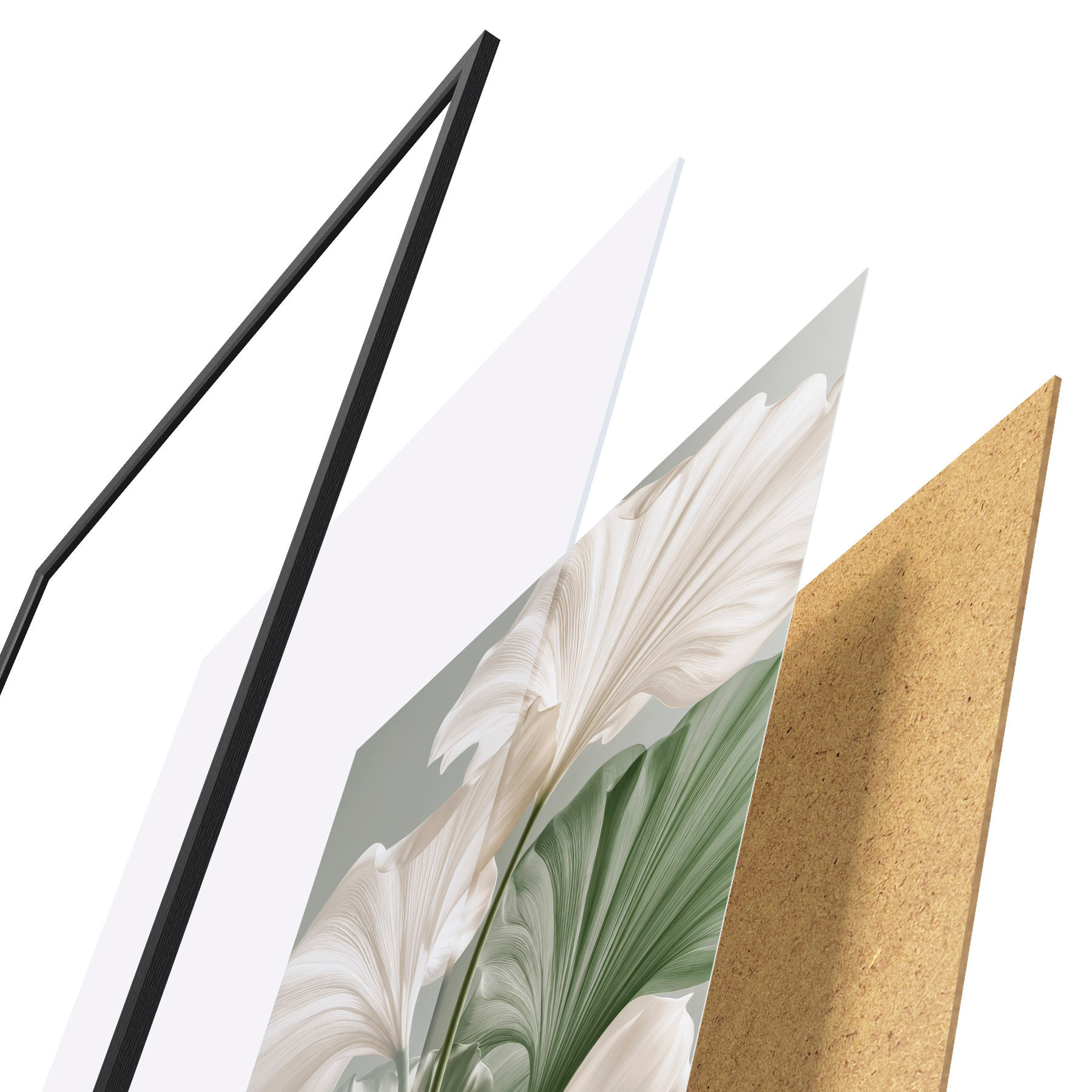 Poster Delicate bladeren f50867