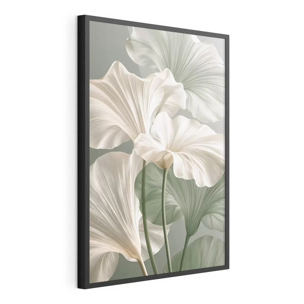Affiche Feuilles délicates f50868