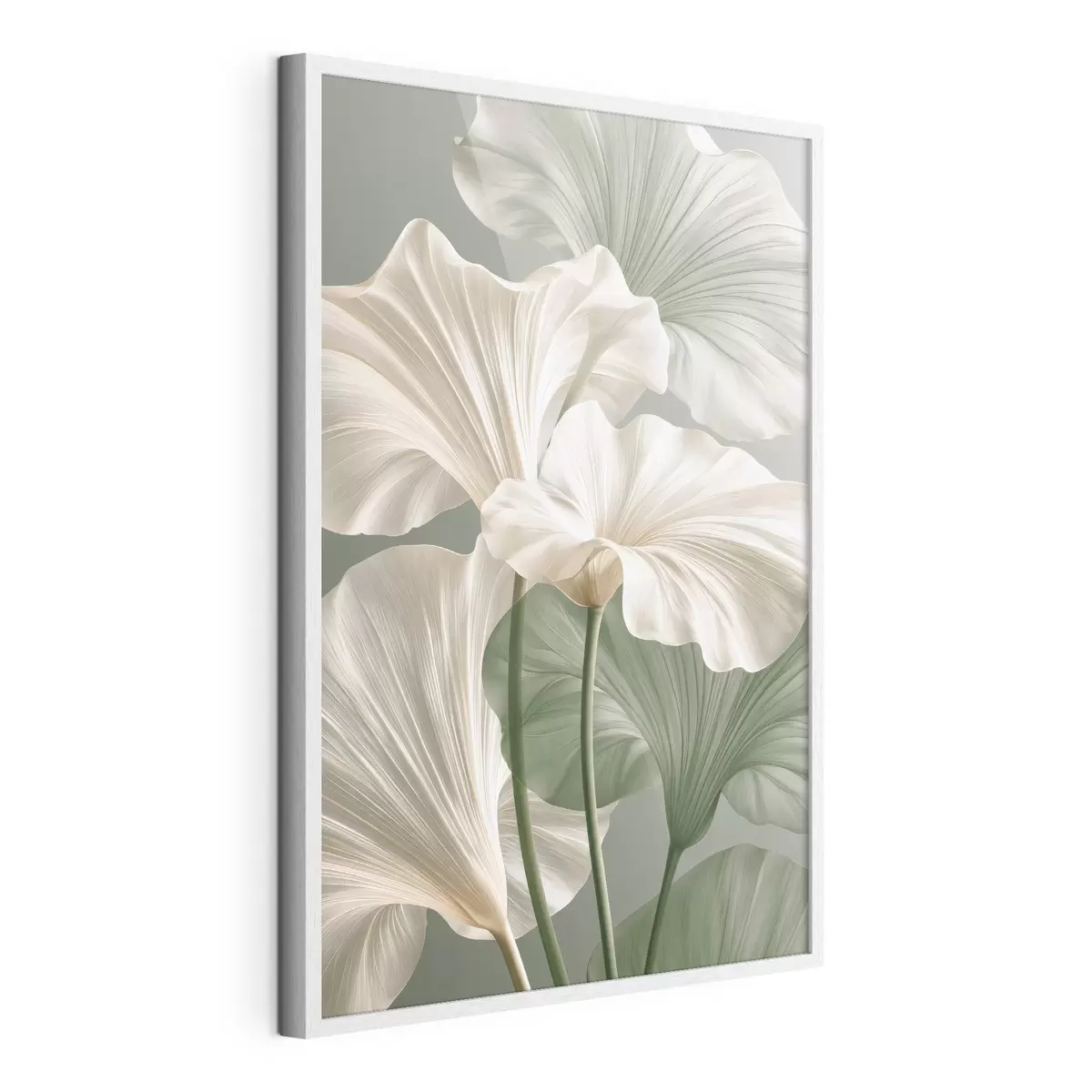 Affiche Feuilles délicates f50868