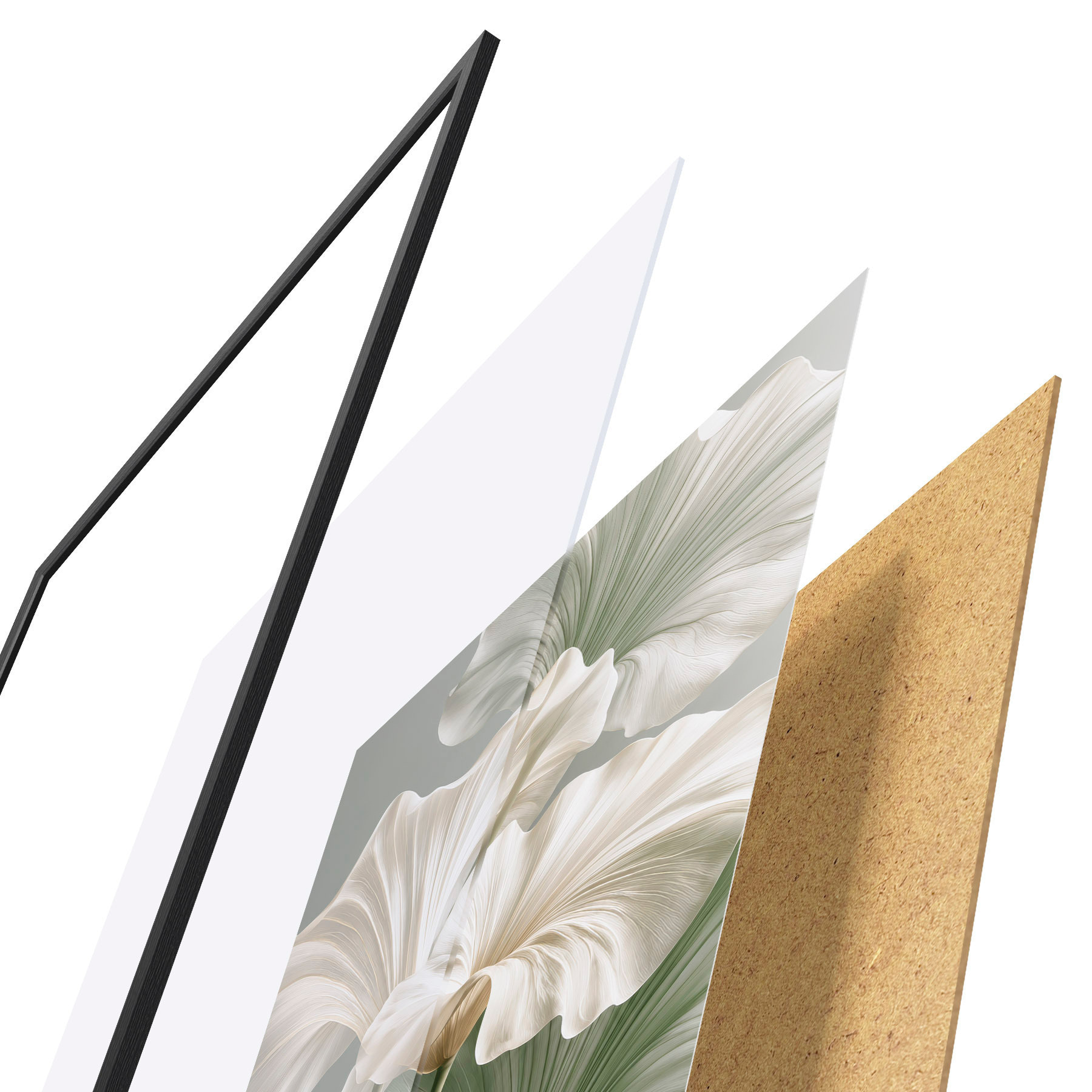 Affiche Feuilles délicates f50868