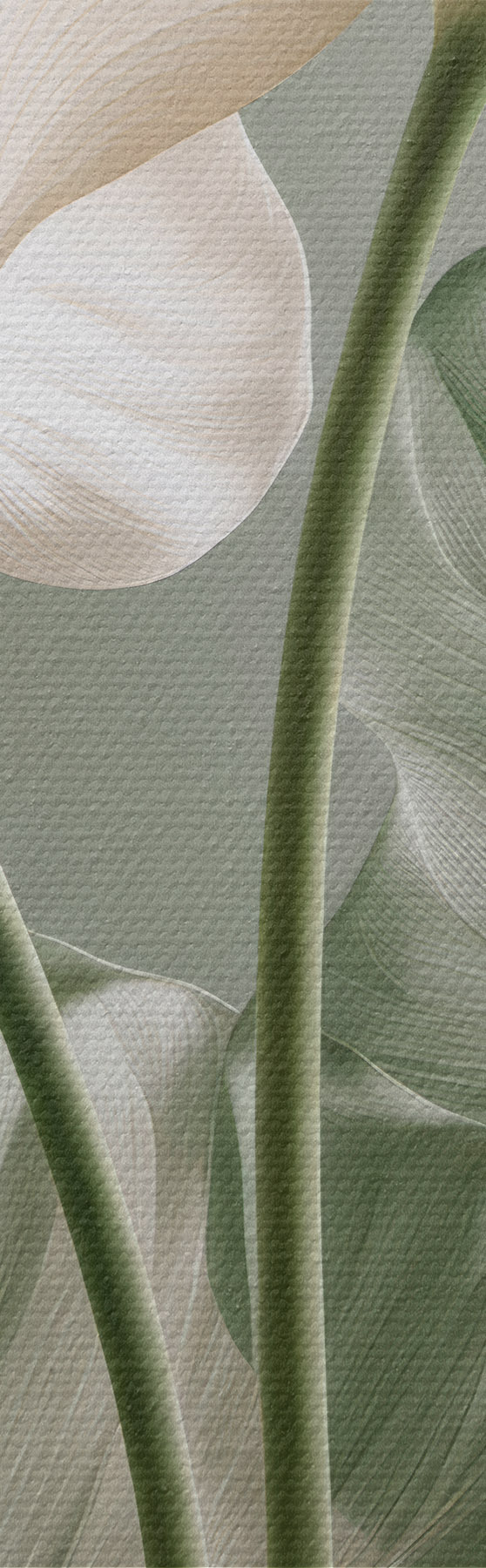  Peintures Feuilles délicates s50867