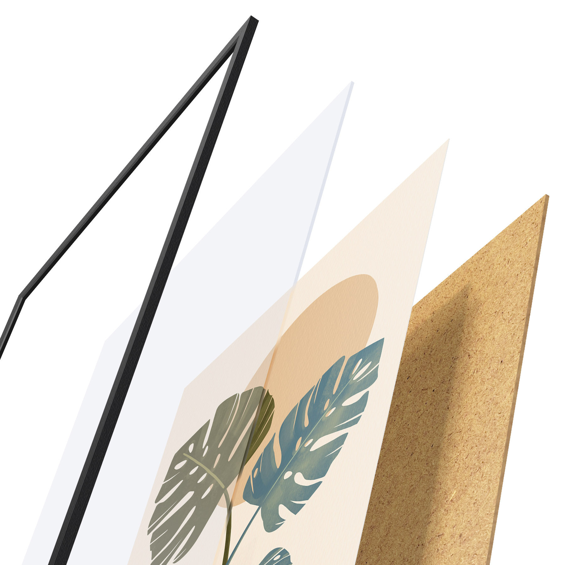 Affiche Feuilles tropicales baignées par une douce lumière du soleil f50733