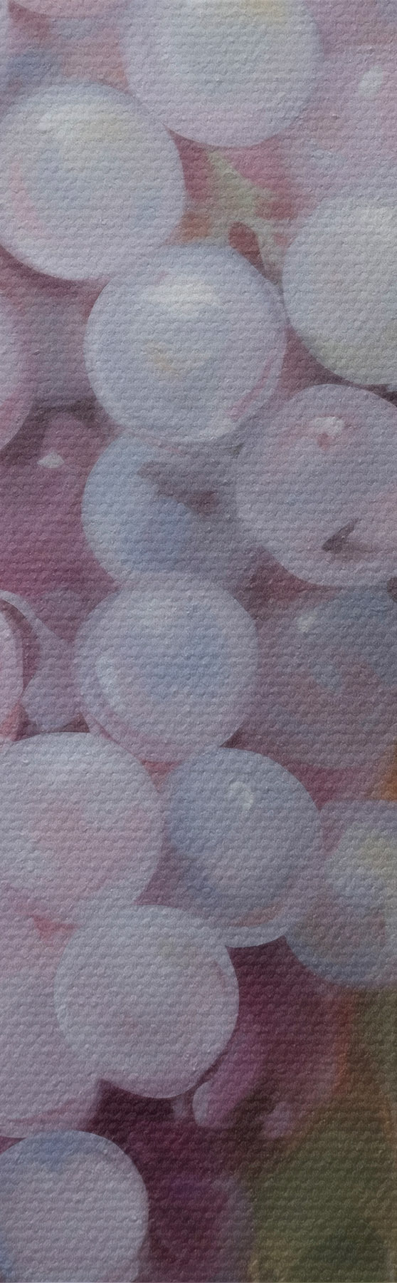  Peintures Des raisins, imitation d'un tableau s51124