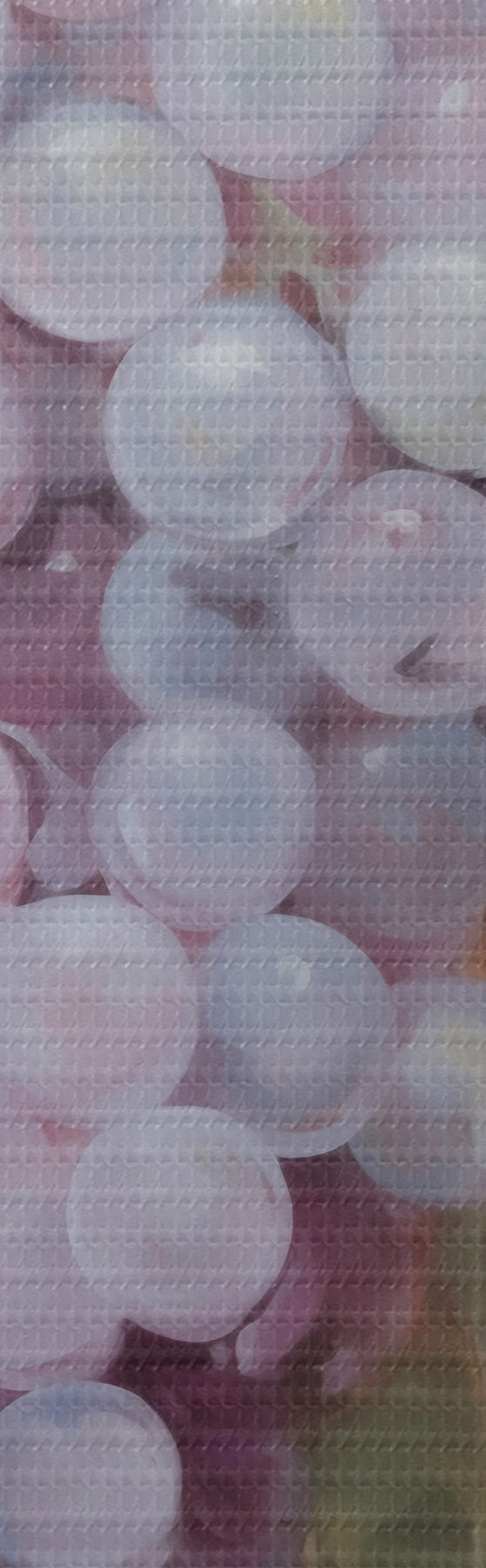  Peintures Des raisins, imitation d'un tableau s51124