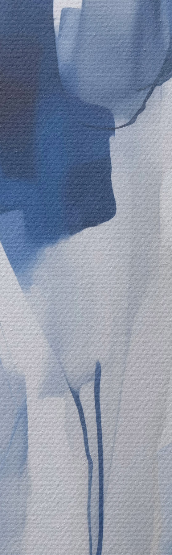  Schilderijen Silhouetten, imitatie van schilderijen s51132