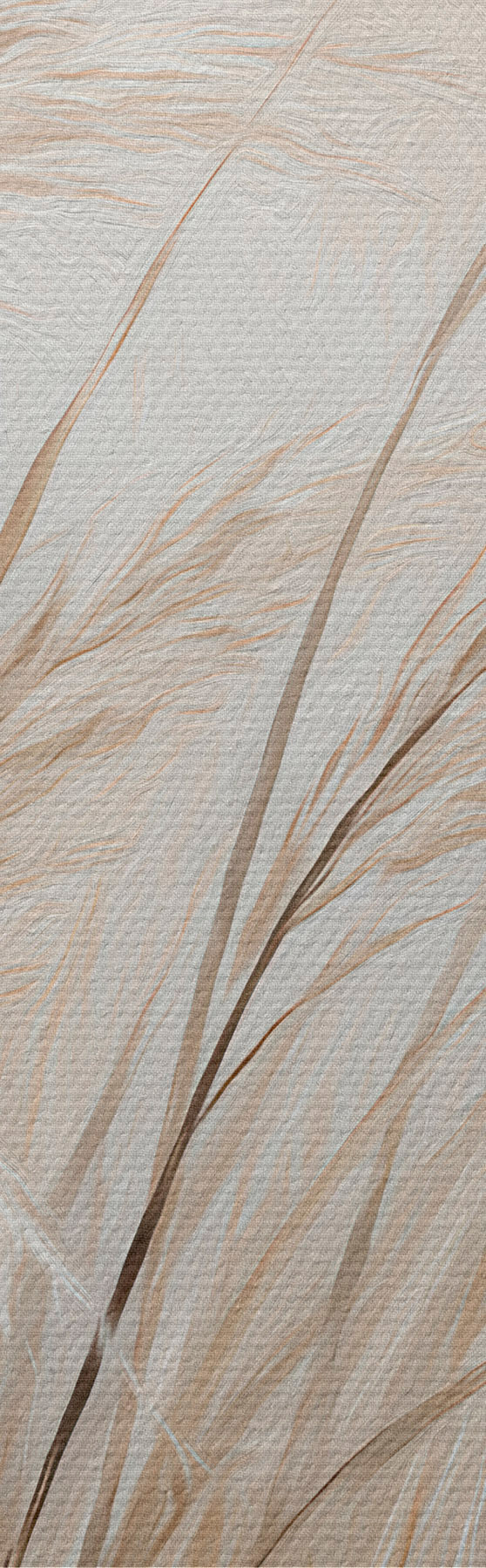  Peintures Épis de blé s51045