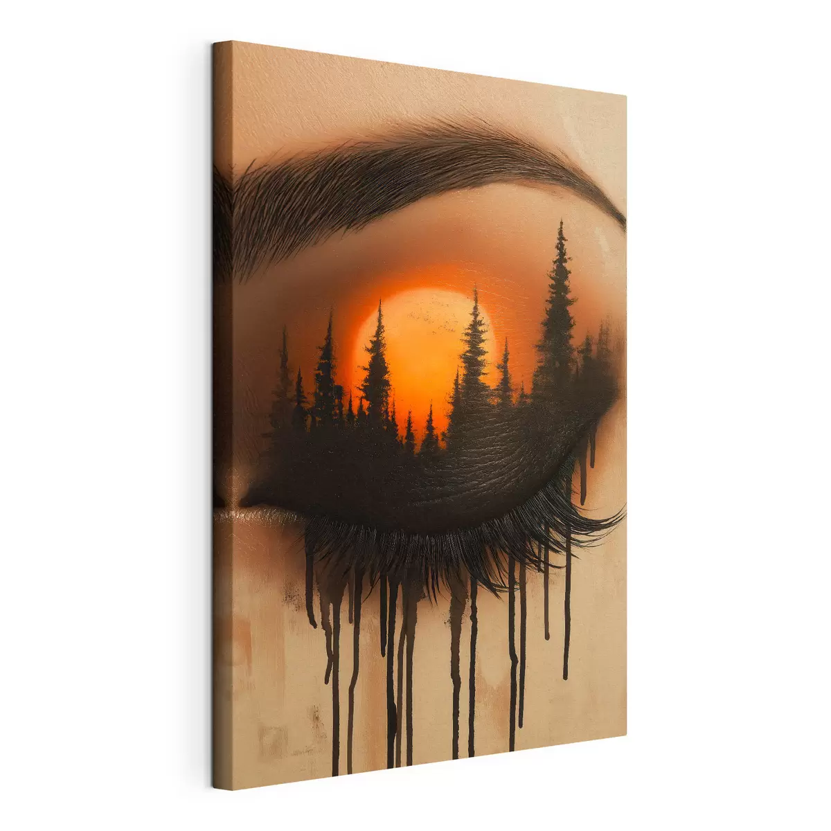  Peintures Le coucher de soleil dans ses yeux s51048