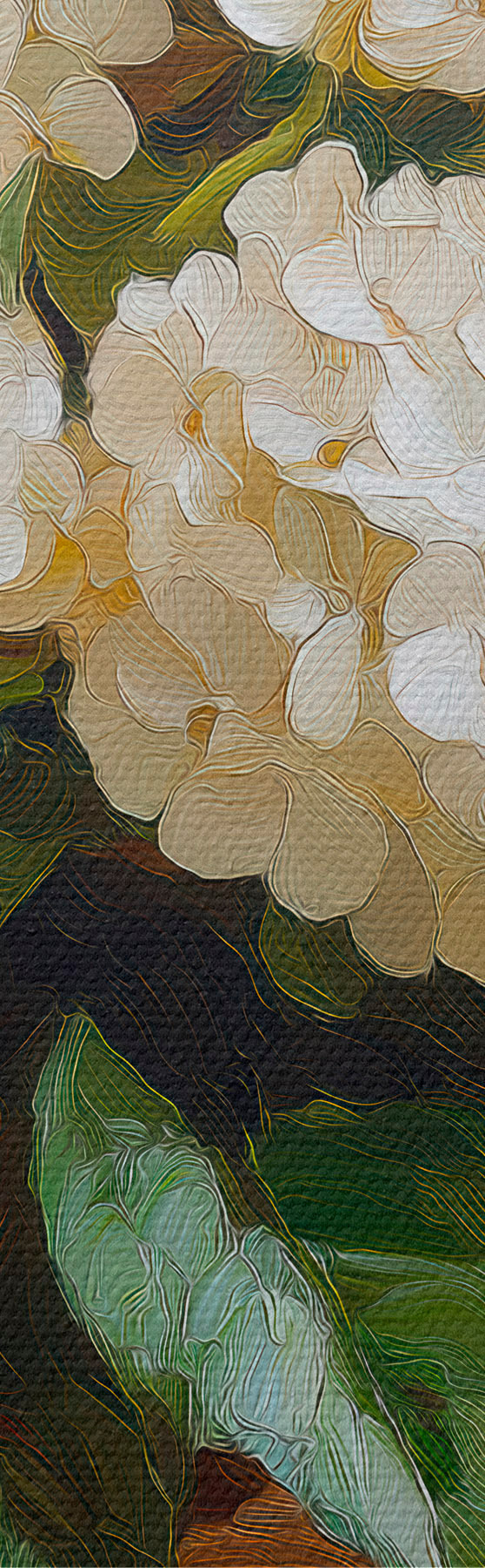  Peintures Hortensias blancs s51062