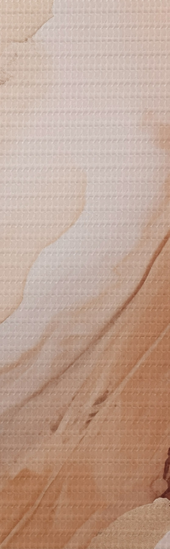  Peintures Couches de nacre beige à la texture fine s51084