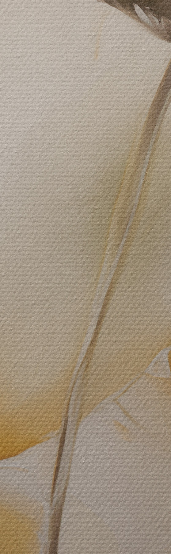  Peintures Coquelicots aériens dans une palette de beiges s51090