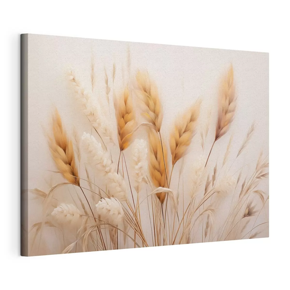  Schilderijen Pluizig pampasgras in eco-stijl s51093