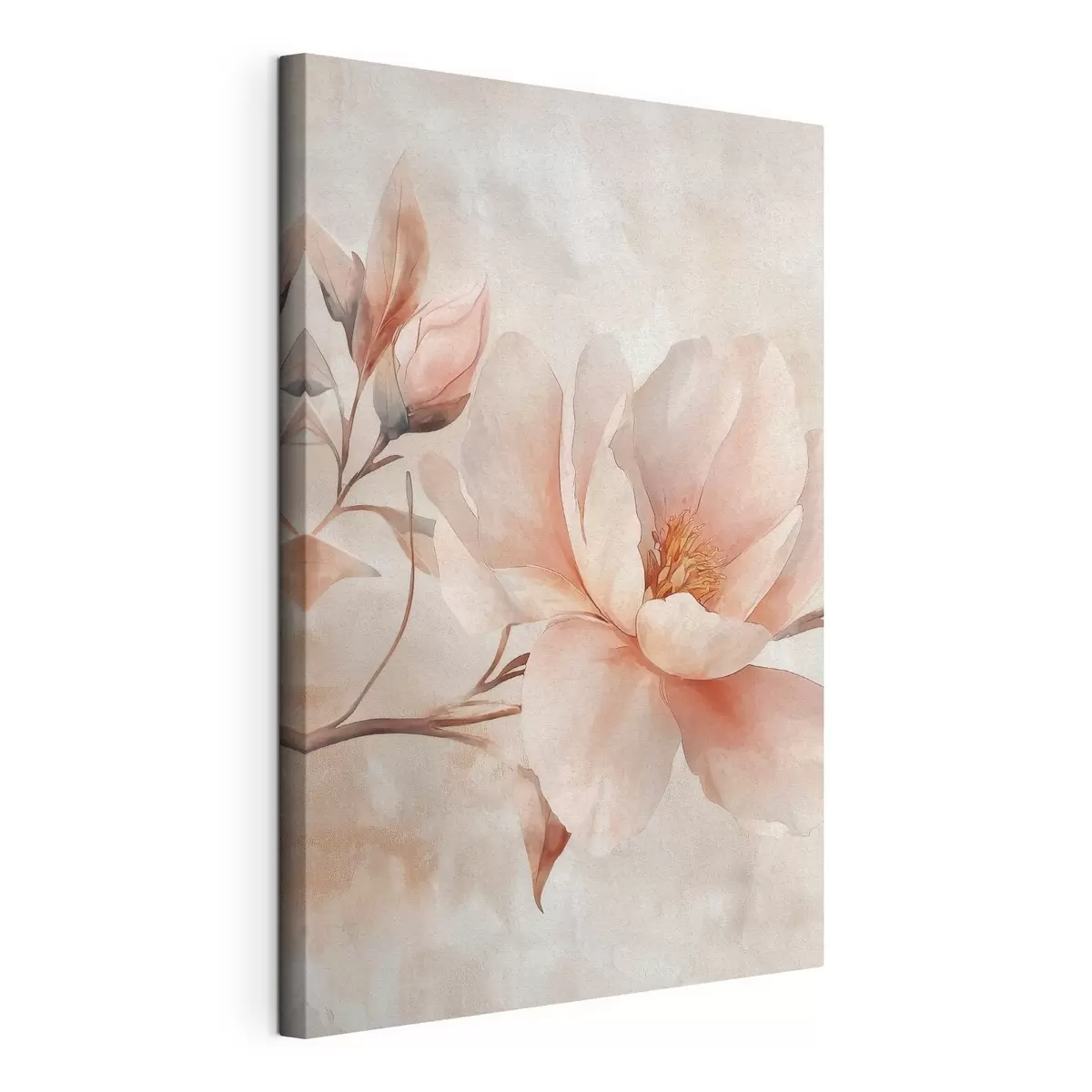  Peintures Pivoine en poudre avec bouton s51097