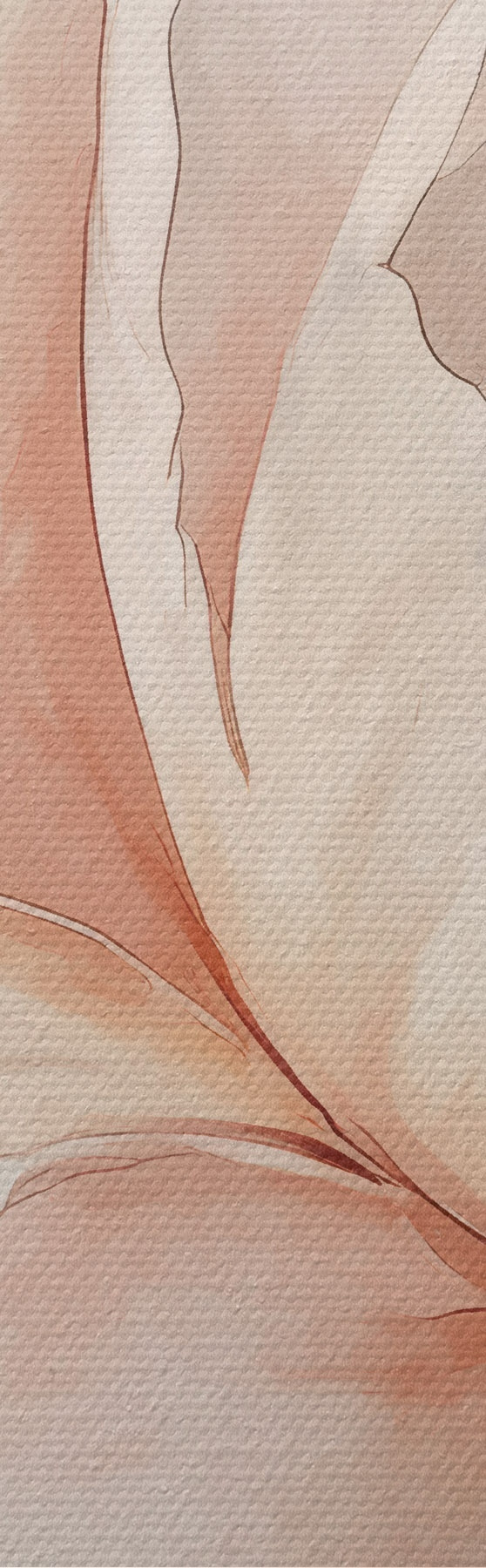  Peintures Pivoine en poudre avec bouton s51097