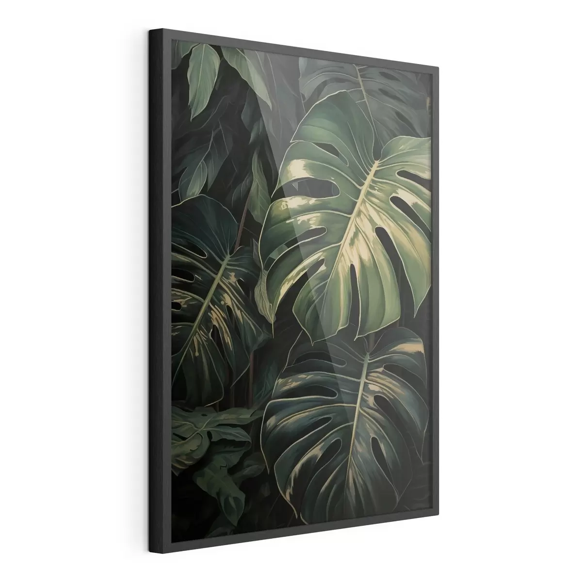 Poster Glanzende Monstera-bladeren in de donkere tropen f51091