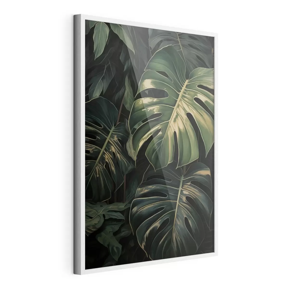 Poster Glanzende Monstera-bladeren in de donkere tropen f51091