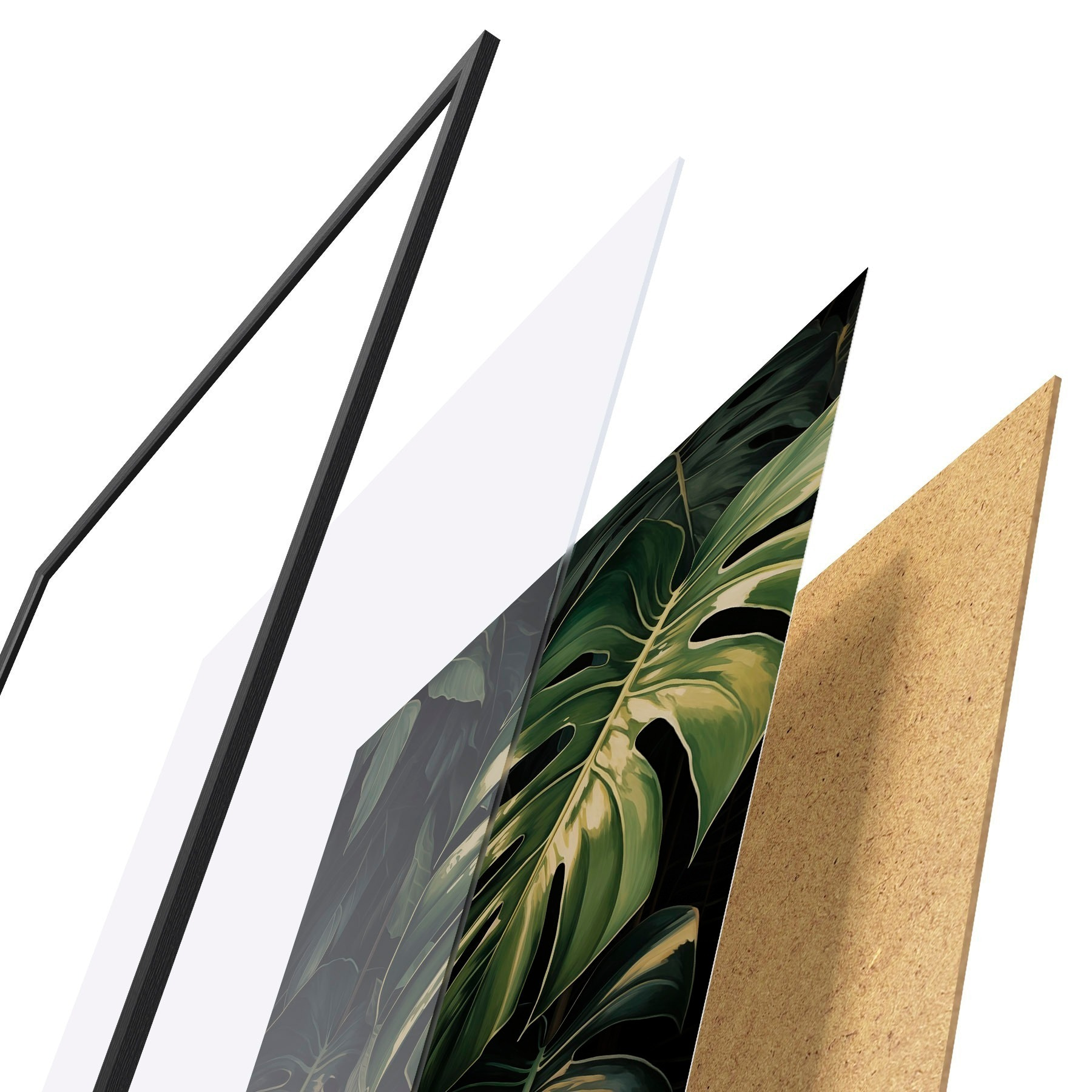 Poster Glanzende Monstera-bladeren in de donkere tropen f51091