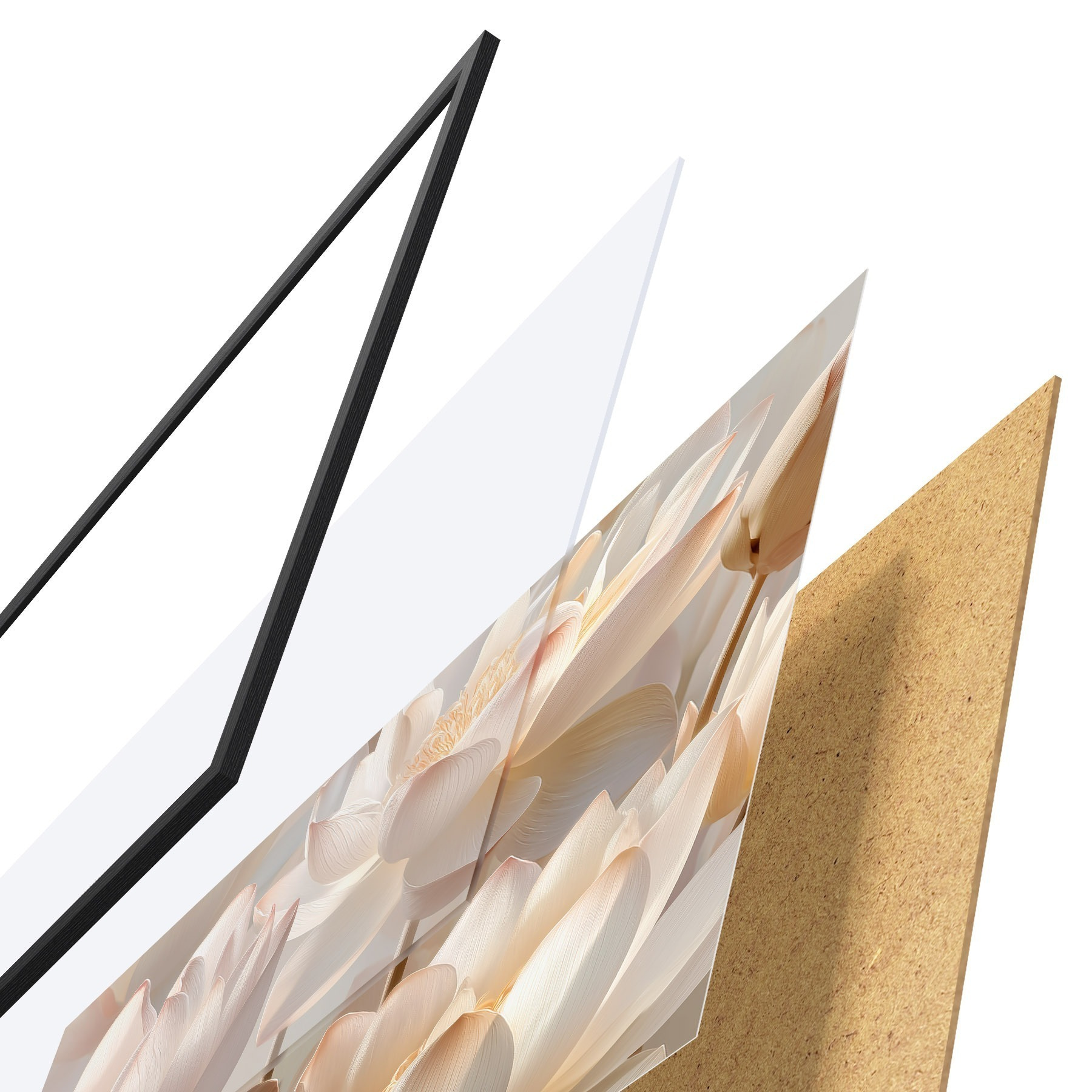 Poster Verfijnde waterlelies en lotusbloemen f51092