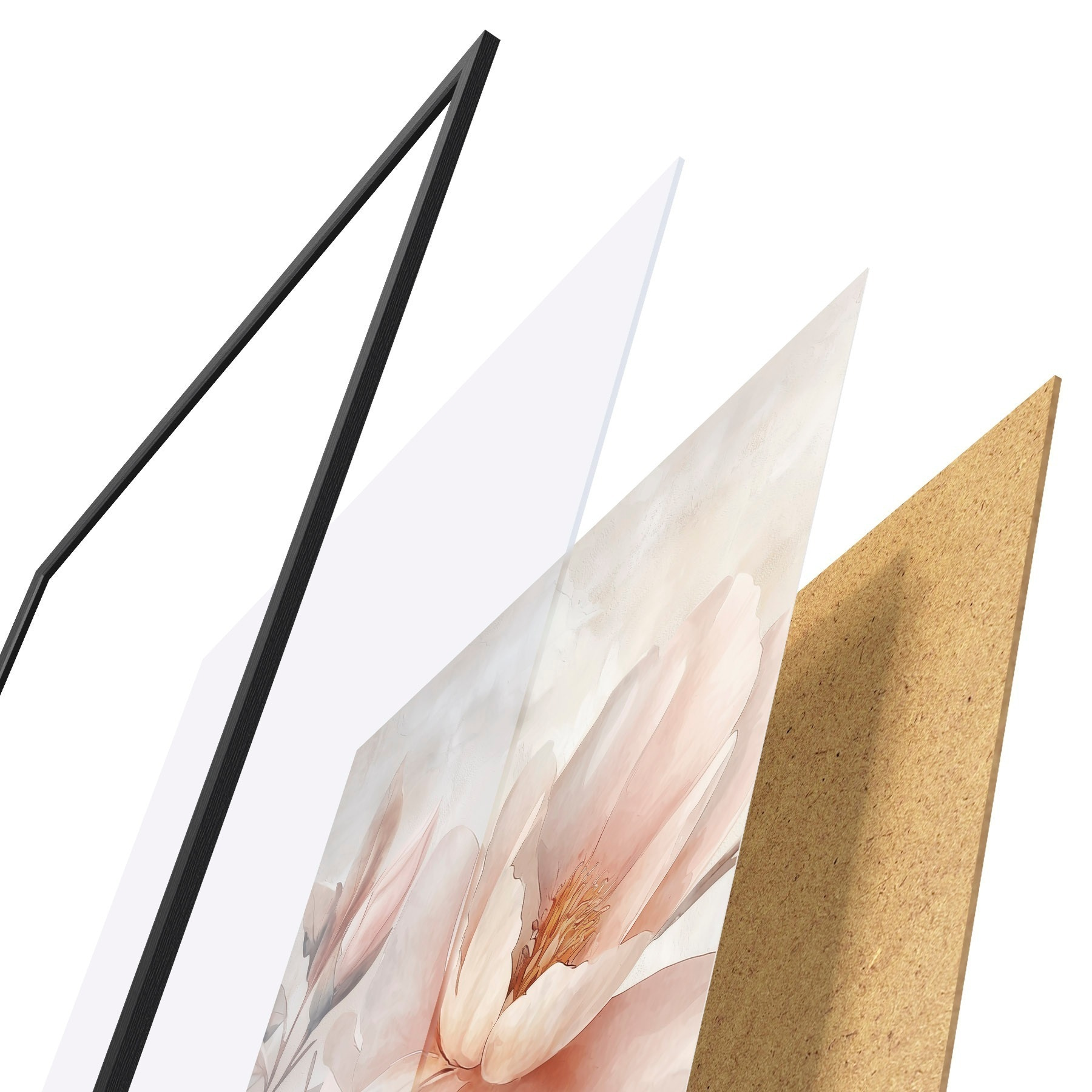 Affiche Pivoine en poudre avec bouton f51097