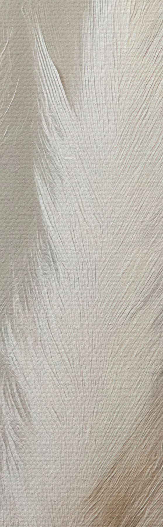  Peintures Herbe de la pampa s51151