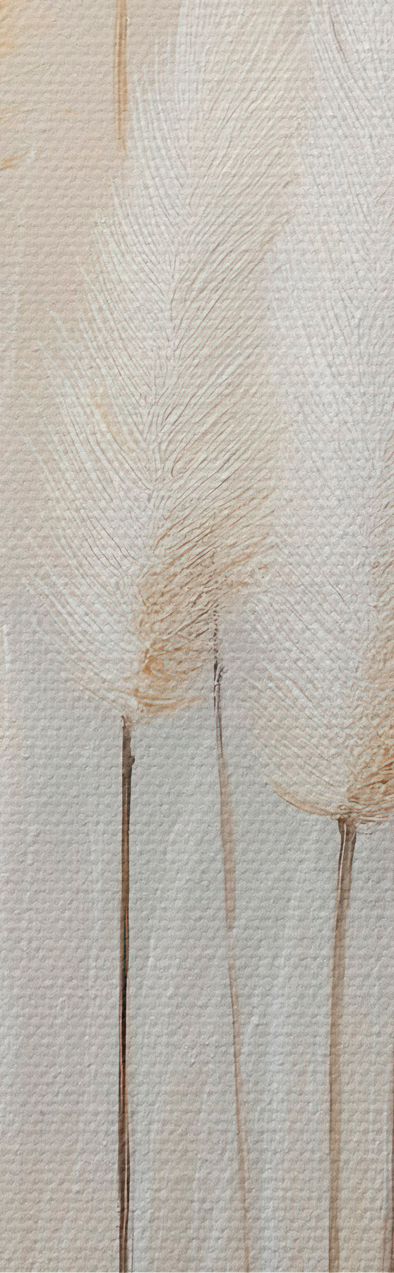  Peintures Herbe de la pampa s51150